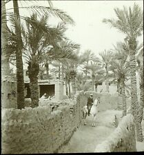 Maghreb maroc algérie d'occasion  Paris V