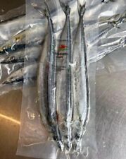 Large blueys 200g for sale  NEWTON ABBOT