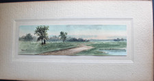 Original antique watercolor for sale  Weatherford