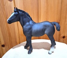 clydesdale horse for sale  Anthony