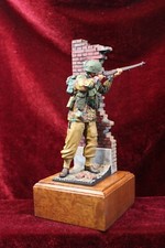 Pro painted figure for sale  RADSTOCK