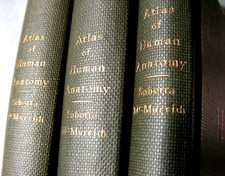 Atlas of Human Anatomy. Sobotta-McMurrich -1930- Vol.: I. II. III. comprar usado  Enviando para Brazil