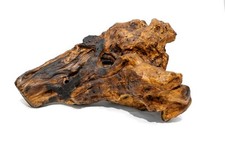 Testa cavallo usato  Piedimonte Etneo