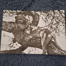 Tier postkarte 1979 gebraucht kaufen  Hamburg