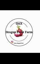 Mature sugar dragon for sale  Port Hueneme
