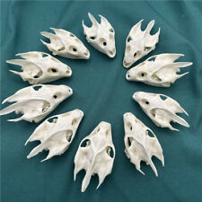 Pcs animal skulls for sale  Shipping to Ireland