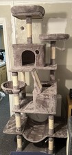 Large feandrea cat for sale  SIDCUP