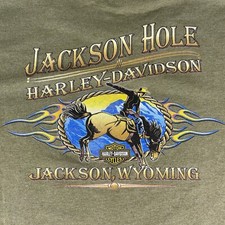 Camiseta masculina vintage Harley Davidson 2XL verde Jackson Hole Wyoming EUA anos 90 comprar usado  Enviando para Brazil