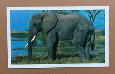 Cpa carte postale d'occasion  La Roche-sur-Yon
