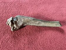 Abwurfstange geweihstange hirs gebraucht kaufen  Lichtenstein