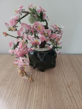Japanese style bonsai for sale  MIDDLESBROUGH