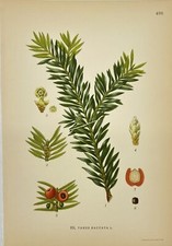 Original flora print d'occasion  Expédié en Belgium