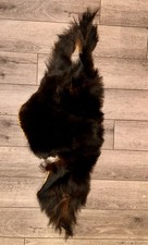 Bear skin rug for sale  Minocqua