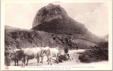 Traineau ete route d'occasion  France