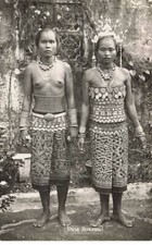 Indonésie dyas borneo d'occasion  France