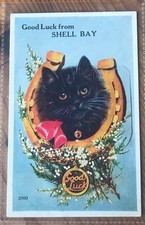 Novelty pull postcard for sale  WORTHING