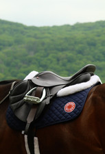 Albion jump saddle for sale  Brooklyn
