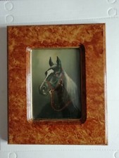 Testa cavallo dipinto usato  Soliera
