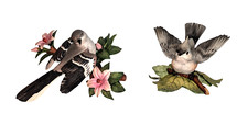 Lenox northern mockingbird for sale  Pittsburgh