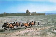 Chine jiayuguan passe usato  Spedire a Italy