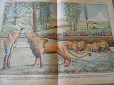 Zoo vincennes lions d'occasion  La Verpillière