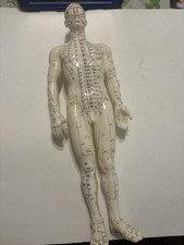 Muñeca modelo masculina acupuntura acupresión de colección notación china segunda mano  Embacar hacia Mexico