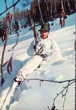 Z415 alpino sciatore usato  Lugo