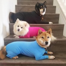 Body chien protection d'occasion  France