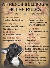 Funny pet dog for sale  LIVERSEDGE