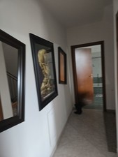 Coppia specchi muro usato Coppia specchi muro usato  Campegine