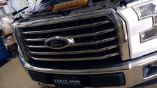 Grille center xlt for sale  Delton