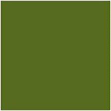 Cartone iris verde usato  Spedire a Italy