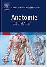 Anatomie text atlas gebraucht kaufen  Berlin
