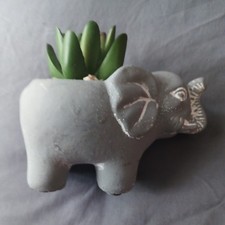 Small grey cement for sale  Lawton