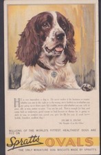 Large advertisement card for sale  WEYMOUTH