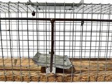 Lebendfalle marder iltis gebraucht kaufen  Euskirchen
