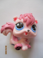 Petshop bebe ecureuil d'occasion  Bailleul