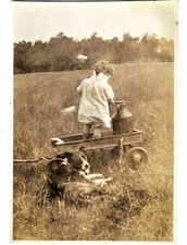 Vintage 1910s dog for sale  Philadelphia