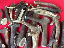 One piece natural for sale  DUNDEE