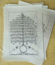 Albero genealogico secolo usato  Vimodrone