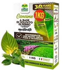Solfato ferro granulare usato  Tramutola