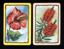 Usado, CARTÕES TRASEIROS ORIGINAIS COLES EM BRANCO FLOR DE HIBUSCO VERMELHO E FLORES DE ESCOVA DE GARRAFA VERMELHA comprar usado  Enviando para Brazil