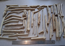 Pieces driftwood sticks for sale  PETERBOROUGH