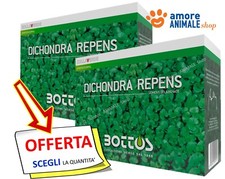 Bottos dichondra repens usato  Serra de Conti