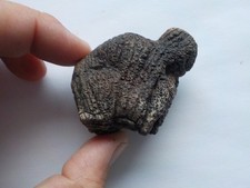 Paleolithic portable art d'occasion  Brest