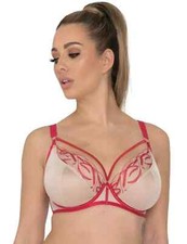 Curvy kate submission for sale  GLASGOW