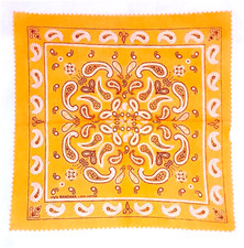 Bandana bandanna style usato  Genova