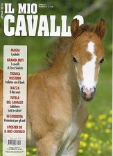 Mio cavallo 2016 usato  Campagna