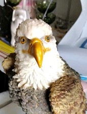Large bald eagle for sale  Jonesborough