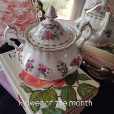 Zuccheriera flower the usato Zuccheriera flower the usato  Argenta